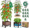 1 Pack Self Watering Tomato Planter Box with Trellis 64 Inch Raised Garden Bed with Trellis - Planter Box for Climbing Plants Tomato Pot for Vegetables Vine Flowers Indoor Outdoor Patio