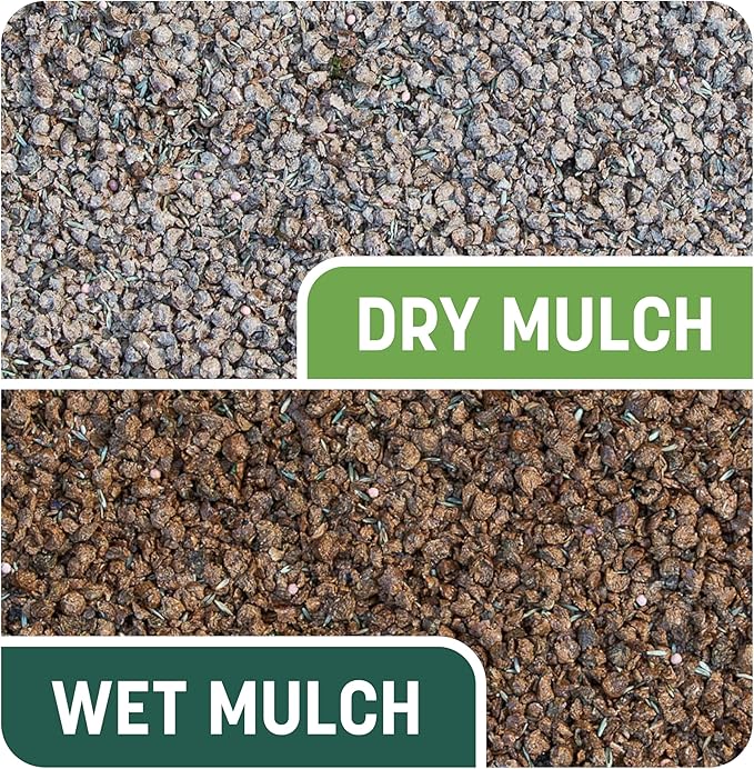 Pennington Smart Patch Sun and Shade Mix Jug 5 lb (Pack of 2)