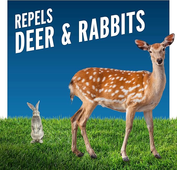 Liquid Fence Deer And Rabbit Repellent Concentrate 2.5 Gallons Apply Year-Round