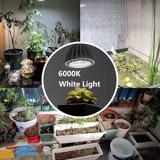 2-Pack Hook Mounted Plant Light Full Spectrum 6000K 25W White Light Timing Plug in Cord Vintage Rust Wall Lamp for Indoor Plants Flowers Growing