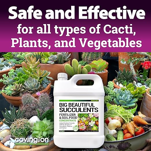 Covington Succulent Fertilizer Liquid (1 Gallon) – Cactus &amp Succulent Plant Food for Indoor and Outdoor Use – Slow Release Liquid Fertilizer for Houseplants – Made in USA