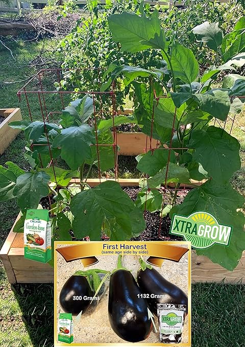 Premium Organic Plant Food