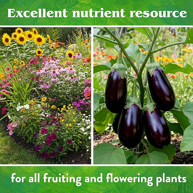 Down To Earth All Natural Fertilizers Organic Rock Phosphate - Calcium Phosphate Plant Food for Flower Beds and Vegetable Gardens 0-3-0 5 lb