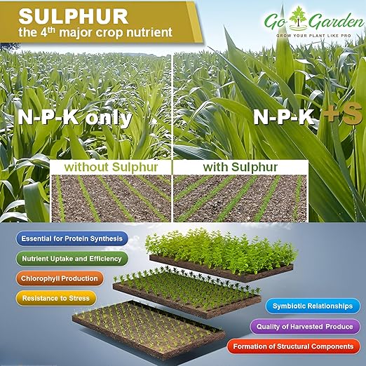 Go Garden Sulphur 90% WG Micronutrient Fertilizer 900G - Enhances Yield Quality &amp Quantity Ideal for Fruits Flowers Vegetables Efficient Sulphur Release Plant Growth Booster