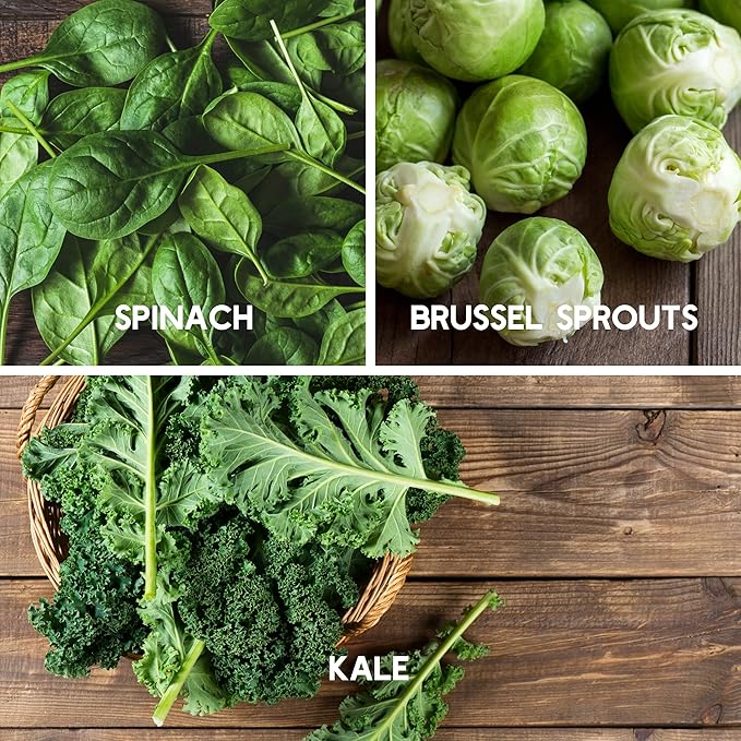 Fall Garden Heirloom Vegetable Seed - ~3800+ Seeds 7 Varieties of Seeds to Sow in Fall Months – Turnip Beet Chard Echinacea Spinach Brussel Sprouts and Kale Heirloom Seed for Planting