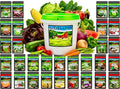 Beginner Survival Seed Vault: 20000+ Heirloom &amp Non-GMO Seeds (30 Easy to Grow Varieties) by B&ampKM Farms