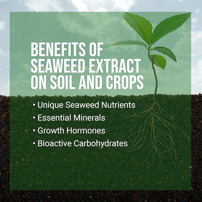 ECOgardener Seaweed Extract Soil Amendment Water-Soluble Powdered Organic Soil Conditioner
