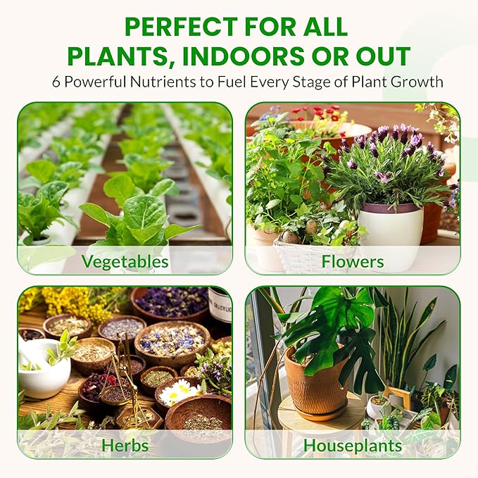 Humboldts Secret Starter Kit Pack XL | Indoor and Outdoor Plant Fertilizer and Hydroponic Nutrients | Base A &amp B CalMag and Iron Golden Tree Flower Stacker Plant Enzymes | Complete Garden Syst