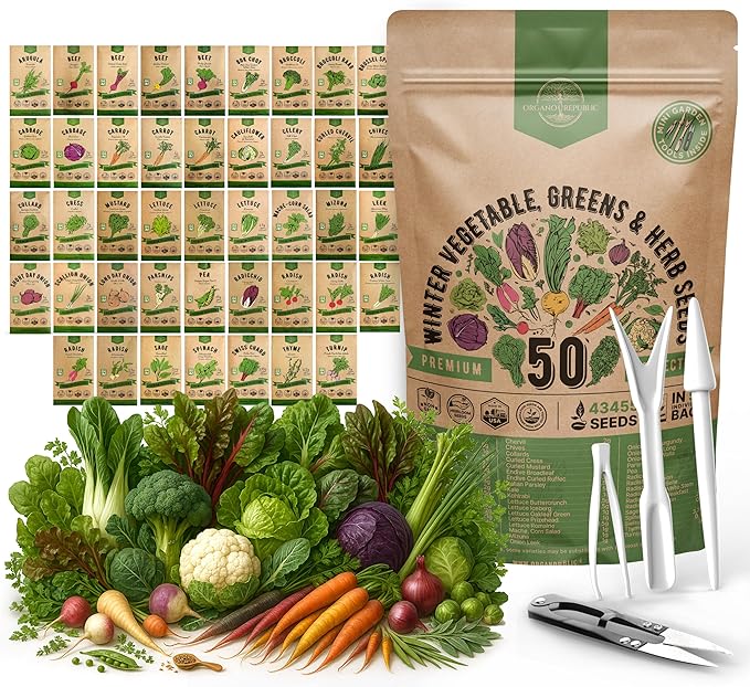 50 Winter Vegetable Garden Seeds Variety Pack - 43450+ Non-GMO Heirloom Seeds for Outdoors &amp Indoor Home Gardening Including Kohlrabi Lettuce Radish Onion Choy Spinach Cauliflower Collard