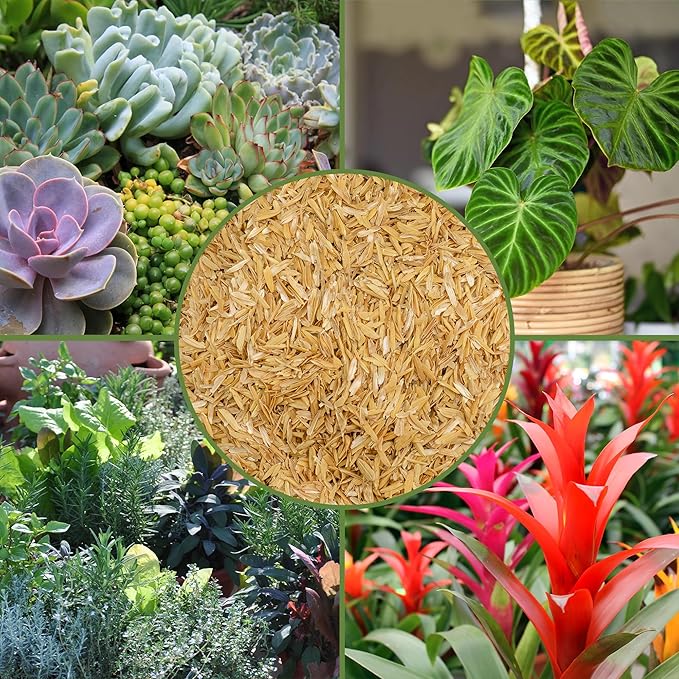 Soil Sunrise Organic Horticultural Grade Rice Hulls (8 Quarts) All-Natural Soil Amendment for Houseplants Gardening Seed Starting &amp Chicken Bedding