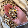 Plant Good Seed Organic Cherokee Long Ear Small Popcorn Bulk Seeds for Planting: Heirloom Vegetable Flower and Herb Farm Grown - 900 Seed Packet (0.25 Pound)