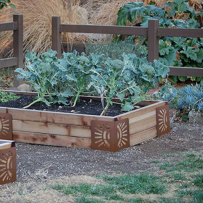 Bloom 11021BL Sun Instabrace Flower Garden Bed Corners 9.5 Brown
