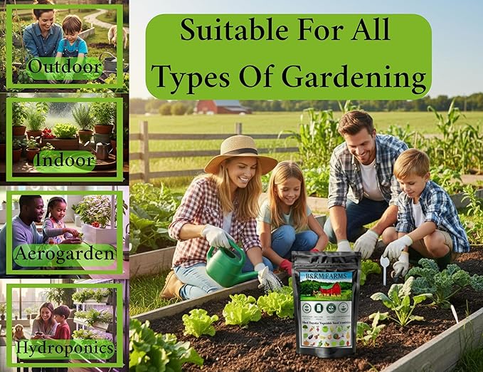 B&ampKM Farms Vegetable Seed Collection - 30 Varieties 60 Packets 66000+ Heirloom Non-GMO Seeds Resealable Storage Packaging (60 Pack: The Family Garden Bank)
