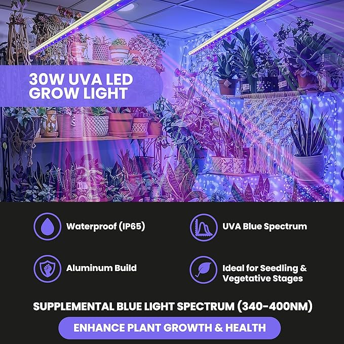 FGI UVA LED Grow Light 380nm for Plants Corals Mushrooms Premium Build Quality IP68 Waterproof 44 Long 30W Supplemental Blue Spectrum