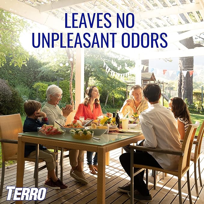 TERRO Ready to Use Indoor and Outdoor Carpenter Ant Termite and Carpenter Bee Killer Aerosol Spray - T1901SR - 2 Pack 32 Total Ounces