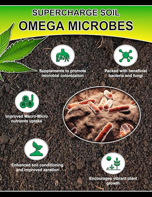 Soil Microbes | Beneficial Soil Bacteria &amp Fungi | 34 Glomus Species