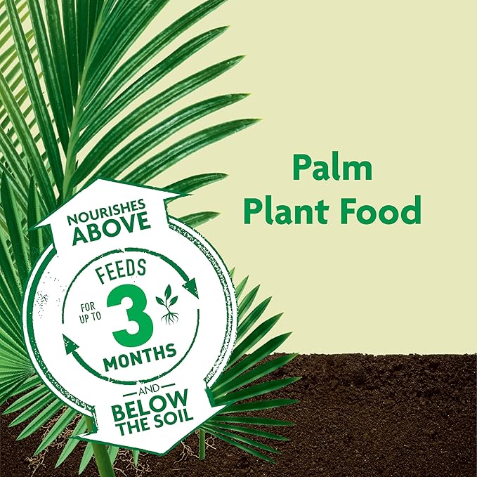 Miracle-Gro Shake 'N Feed Palm Plant Food For Container and In-Ground Plants Palm Trees Cycads and Tropical Plants 4.5 lbs.