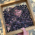 Plant Good Seed Organic Guatemalan Purple Fava Bean Bulk Seeds for Planting: Heirloom Vegetable Light Purple Violet Beans - 50 Seed Packet (2.5 Ounces)