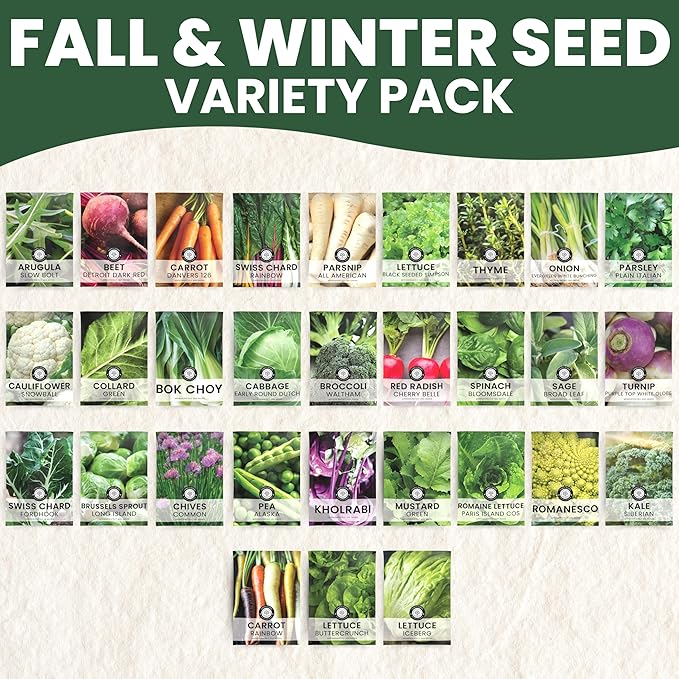 Fall &amp Winter Seed Variety Pack | 30 Invidiual Packs | 2026 Season | Non-GMO | Beets Arugula Carrots Lettuce &amp More! | for Planting Indoor &amp Outdoor | by Family Sown