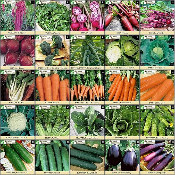 Garden Heirloom Seed Vault 100 Variety Over 17500 Vegetable Fruit and Herbs Seeds Non-GMO Non-Hybrid Plus Free Microgreens Kit