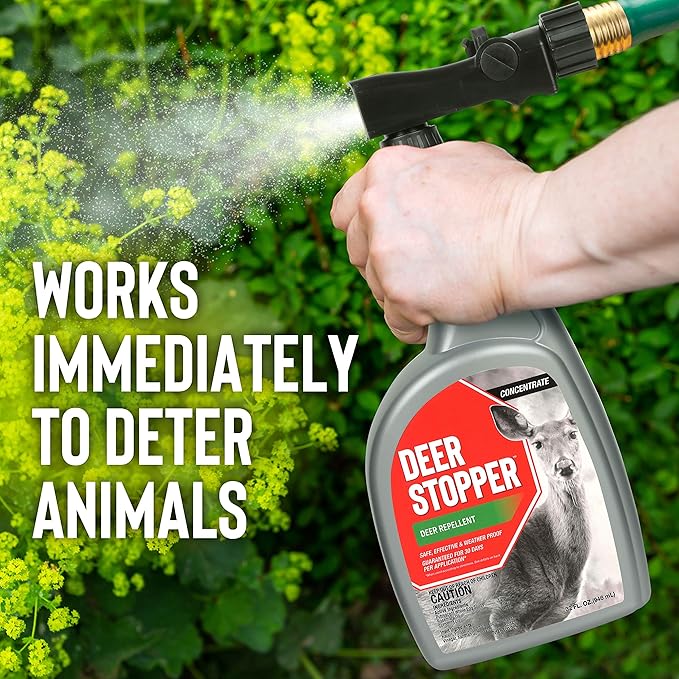 Deer Stopper Liquid Animal Stopper Repellent All Natural Effective All Year Round Safe for People and Pets No Harsh Chemicals Ready to Use Deer &amp Moose Repellent - 1 Gallon Concentrate