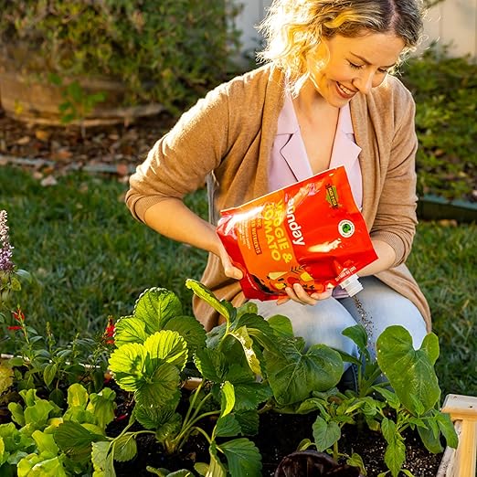 Sunday Garden Naturals Veggie + Tomato Plant Food Mix - Boost Growth in Vegetables Tomatoes &amp Herbs - 5-4-4 NPK Mix - for Indoor &amp Outdoor Use - Feeds for 4-6 Weeks - 2 Pack 2lb Mix
