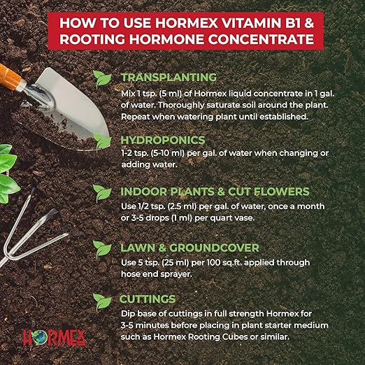 Hormex Rooting Powder #1 &amp Vitamin B1 Hormone Concentrate Combo - Root Stimulator for Softwood Cuttings &amp Liquid - Perfect for Hydroponics House Plants Gardens Fruits &amp Vegetables 21g
