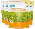 Back to The Roots 100% Organic Yelow Mustard Cover Crop Seeds Covers ~1000 sq. ft.