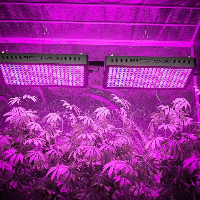 DC Series 3000W LED Grow Light 4x3.5ft Covera Upgraded SMD Diodes Aluminum Reflector Full Spectrum Grow Lamps for Greenhouse Hydroponic Higher PPF Indoor Plants Growing Lights
