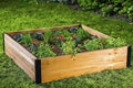 Vita Mezza 4 Foot x 4 Foot x 11 inch Cedar Wood Modular Garden Bed with Black Aluminum Posts FSC Woodgrain Golden Brown Pre-Stained VT17703