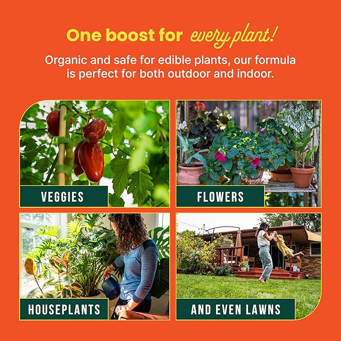 Sunday Soil Booster - Worm Casting Tea - Enhance Soil Health &amp Promote Vigorous Plant Growth - Made with Vermicompost Extract &amp Humic Acid - 32 Fl Oz 2 Pack