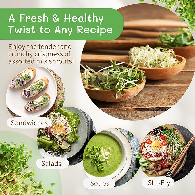 The Sprout House Assorted Mix Sprouting Seeds - Grow Fresh Sprouts &amp Bean Sprouts at Home Organic Non-GMO Nutrient-Packed for Salads Sandwich &amp Smoothies Premium 12 Pack | 2 oz Each
