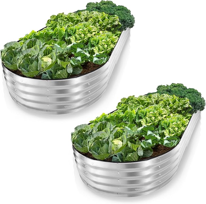 Plant &amp Plot Galvanized Raised Garden Beds Outdoor // 8×4×1 ft (2-Pack) Planter Raised Beds for Gardening Vegetables Flowers // Large Metal Garden Box // Patented Tool-Free Design (Silver)