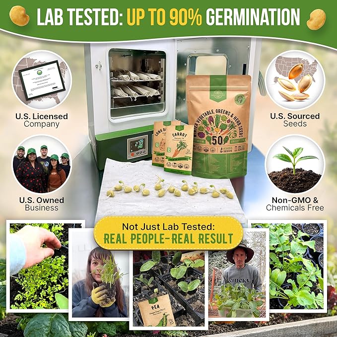 50 Winter Vegetable Garden Seeds Variety Pack - 43450+ Non-GMO Heirloom Seeds for Outdoors &amp Indoor Home Gardening Including Kohlrabi Lettuce Radish Onion Choy Spinach Cauliflower Collard