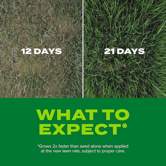 Scotts Turf Builder Rapid Grass Sun and Shade Mix Combination Seed and Fertilizer Grows Green Grass in Just Weeks 2.4 lb.