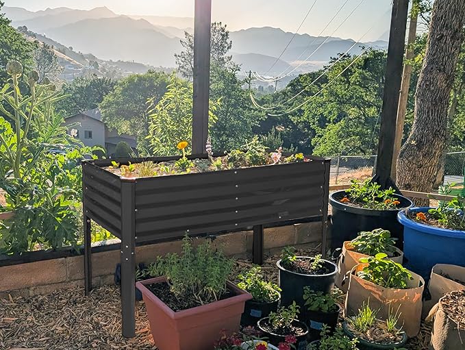 Galvanized Raised Garden Beds Outdoor with Legs // 48×24×31in Elevated Planter Box for Vegetables Flowers (Black) // Large Metal Garden Bed for Backyard Patio Gardening