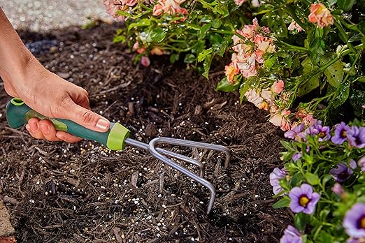 Miracle-Gro Shake 'N Feed All Purpose Plant Food - Outdoor and Indoor Plant Food for In-Ground and Containers Feeds for up to 3 Months 4.5 lbs. (6-Pack)