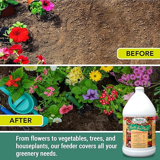 Medina HastaGro Plant Food 6-12-6 Liquid Fertilizer - Natural Plant Fertilizer for Healthy Growth - Food for Plant Nutrients &amp Vibrant Blooms - Promotes Root Development &amp Stronger Plants (1 G