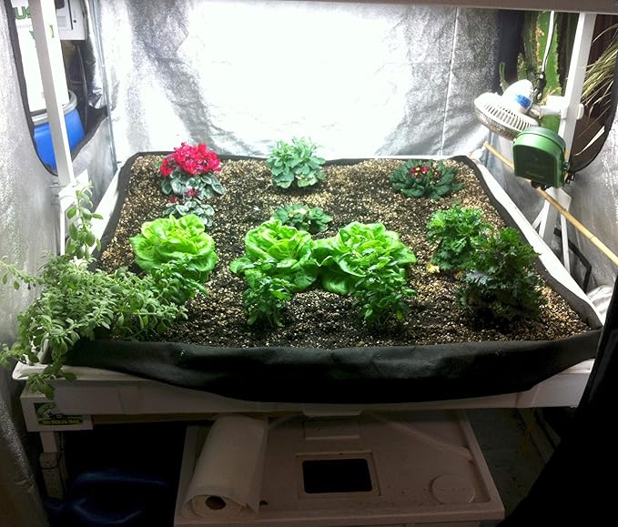 Smart Pot Tray Liner Raised Bed Flood 4 ft x 8 ft (48 x 96)