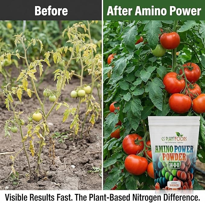 Amino Power Powder Nitrogen Fertilizer - Plant Based High Nitrogen Fertilizer for Plants - All Natural Nitrogen Source and chelating Agent - Suitable for Turf Vegetables Fruits &amp Berries