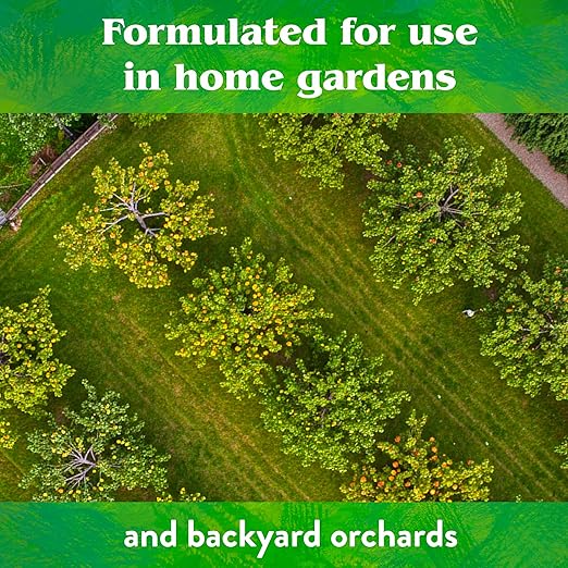 Down To Earth All Natural Fertilizers Organic Fruit Tree - Plant Food for Apples Pears Plums and Tropical Fruit Trees 6-2-4 40 lb