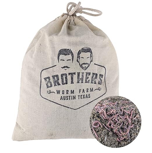 BROTHERS WORM FARM - 1/4 LB (~250) Red Wiggler Composting Worm Blend. Best Species for Composting Gardens Bins and Creating Worm Castings at Home.