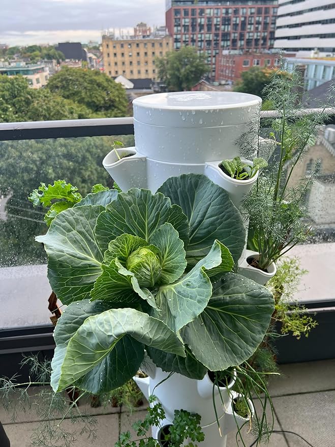 The Stack &amp Sprout Vertical Gardening System - Vertical Urban Gardening for Condo Patios and Balconies