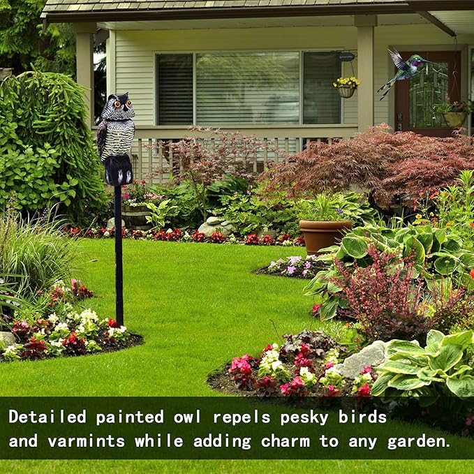 Hedoc Fake Owl Decoys to Scare Birds Away Rotating Head Sculptures Nature Enemy Scarecrow Plastic Statues Pest Repellent Bird Control and Pigeon Deterrent Outdoor Yard Garden Protectors