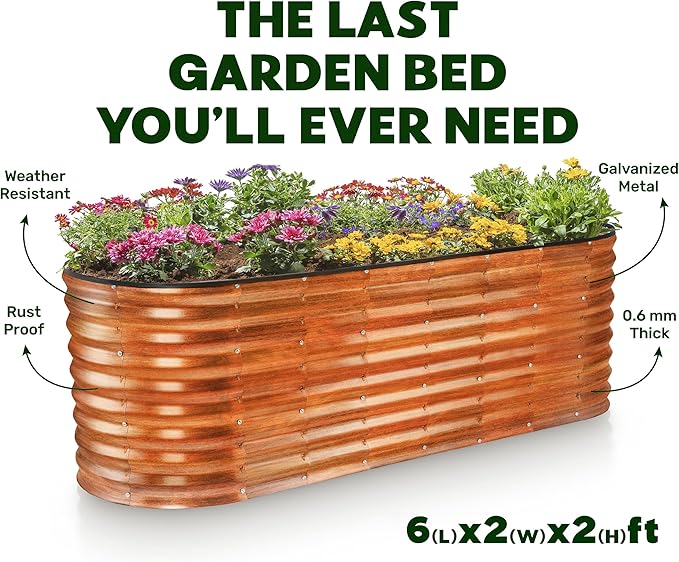 Plant &amp Plot Galvanized Raised Garden Beds Outdoor // 6×2×2 ft Planter Raised Beds for Gardening Vegetables Flowers (Dark Wood Grain) // Large Metal Garden Box // Patented Tool-Free Design
