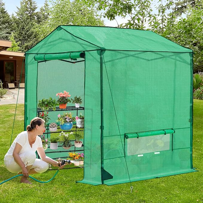 6x6 Pop Up Greenhouse Instant Walk in Green House with PE Cover Power Ports Roll up Doors &amp Windows for Indoor Outdoor Plant Growing Green