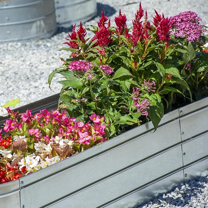 Grapevine Galvanized Steel Raised Garden Bed Oval 79IN Silver