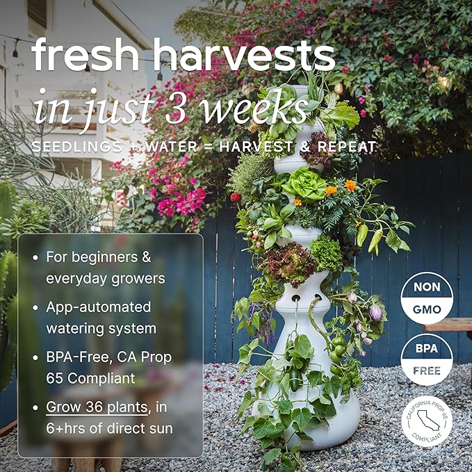 Farmstand Large Starter Kit + 36 Seedling Credits | 6 ft Vertical Hydroponic Garden Tower | Self Watering Outdoor Garden System for Vegetables Herbs &amp Greens | Made in USA