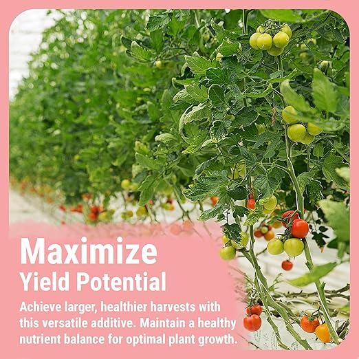 Cronk Nutrients Bud Booster - Best Budding Fertilizer for Maximum Blooms - Hydroponic Nutrients for The Bloom Phase - Balanced pH Formula - Suitable for Soil Soilless and Hydroponic Systems 1L