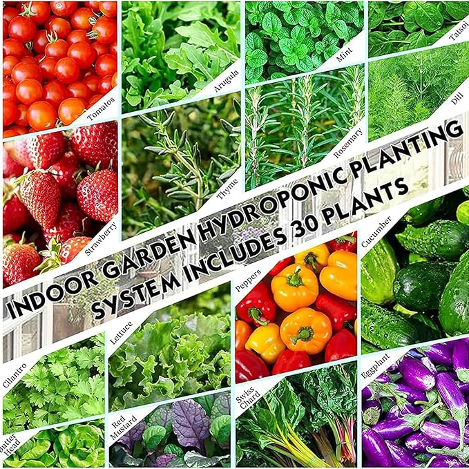 System of Hydroponic Culture of 30 Garden Plants Air Cultivation System for Herbs Fruits and Vegetables with Moisturizing Pump Adapter Network Pots Herbal Timer